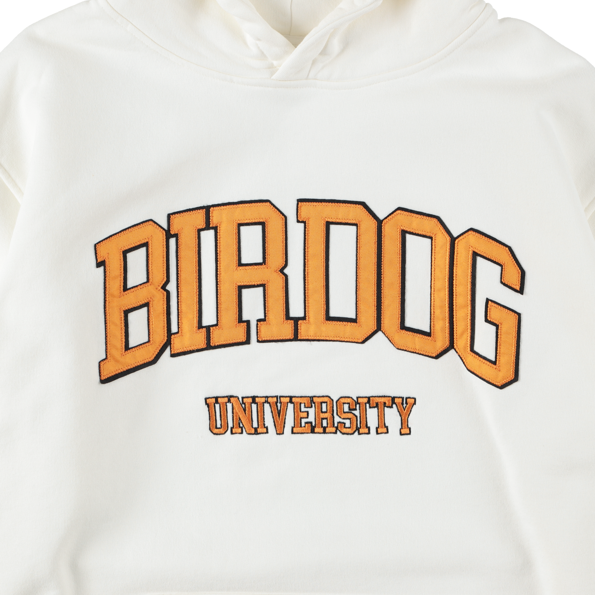 University hoodie